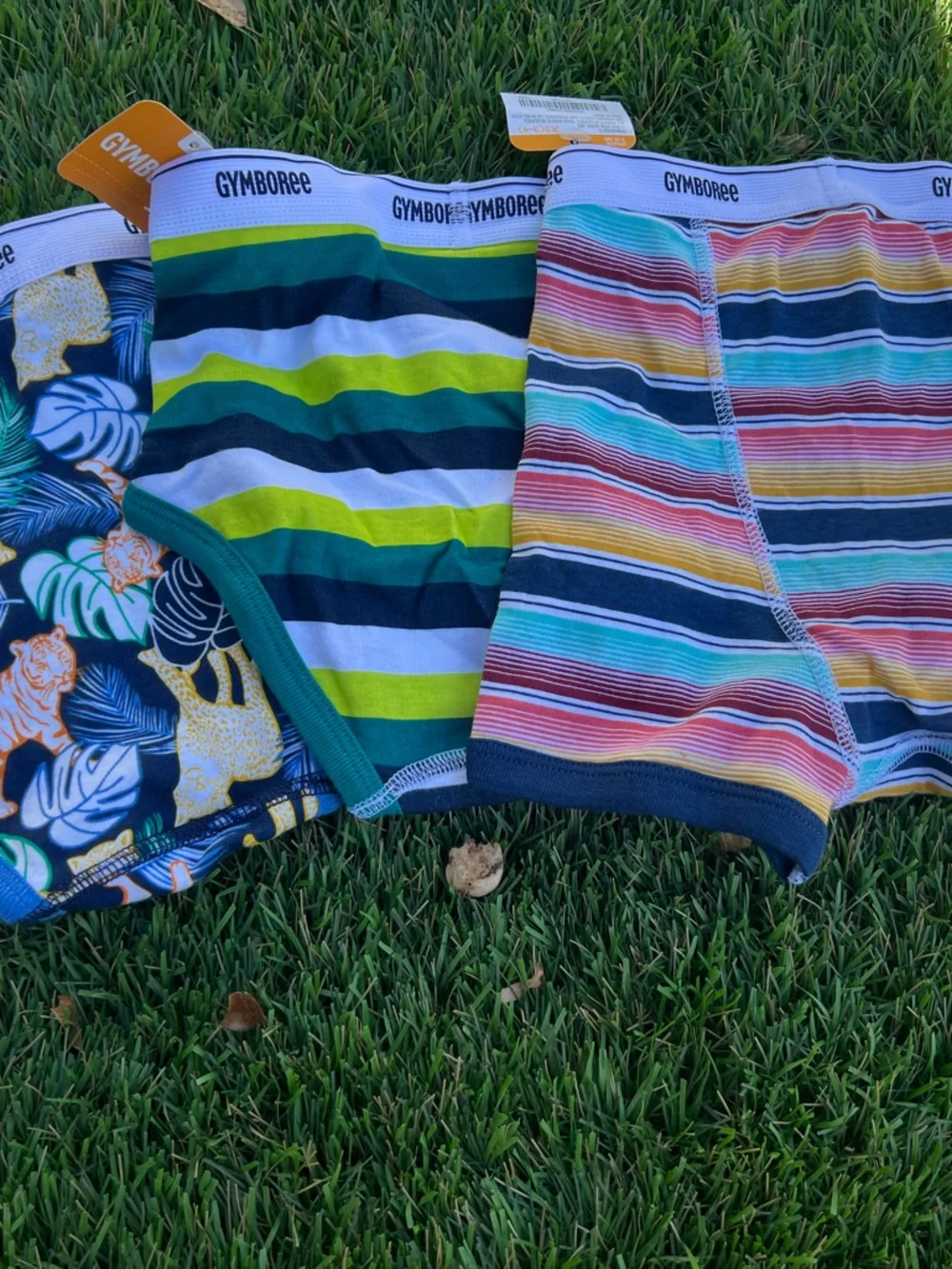 Gymboree Boys' Blue, Green & Multi-Striped Briefs Set XS (3-4)